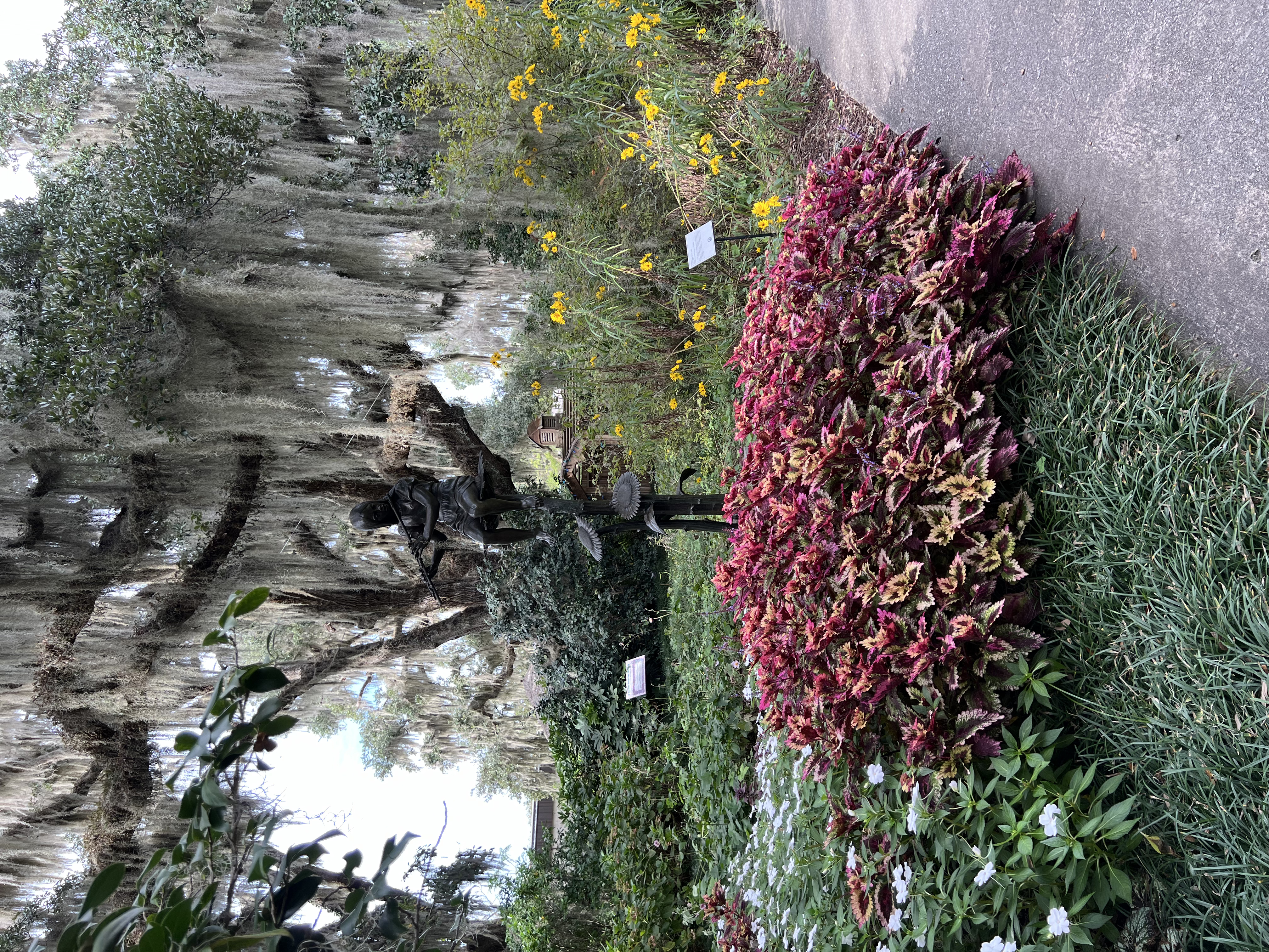 ./2024/10 - Myrtle Beach/IMG_2931.jpg
